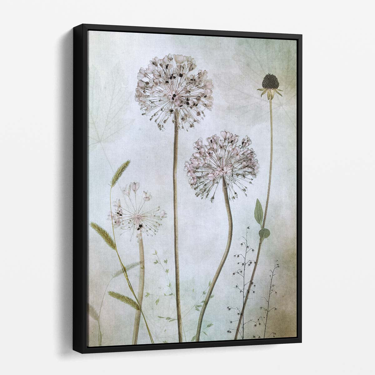 Allium Flower Macro Photography Textured Botanical Still Life Art by Luxuriance Designs, made in USA