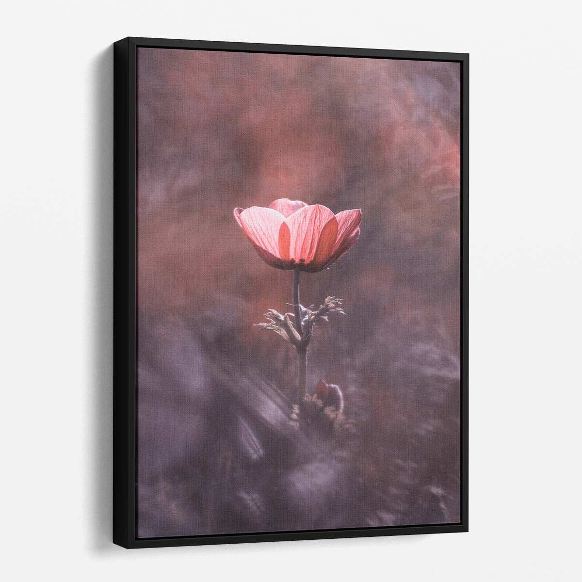 Macro Photography Painted Pink Poppy Petal and Anemone Blossom Wall Art by Luxuriance Designs, made in USA