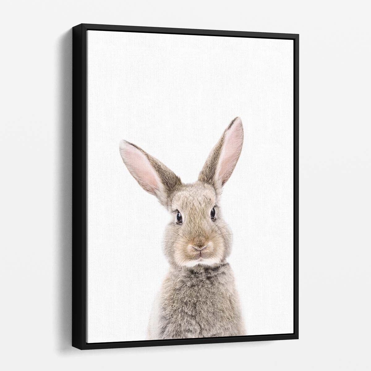 Baby Rabbit Close-Up Portrait Photography on Bright Background by Luxuriance Designs, made in USA