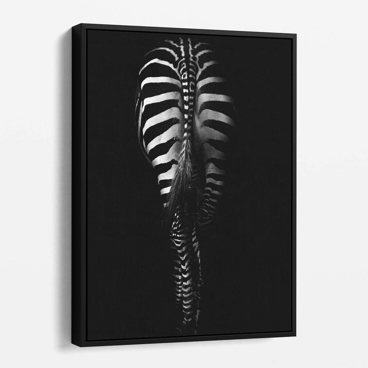 Minimalistic Black and White Zebra Tail Stripe Photography Art by Luxuriance Designs, made in USA
