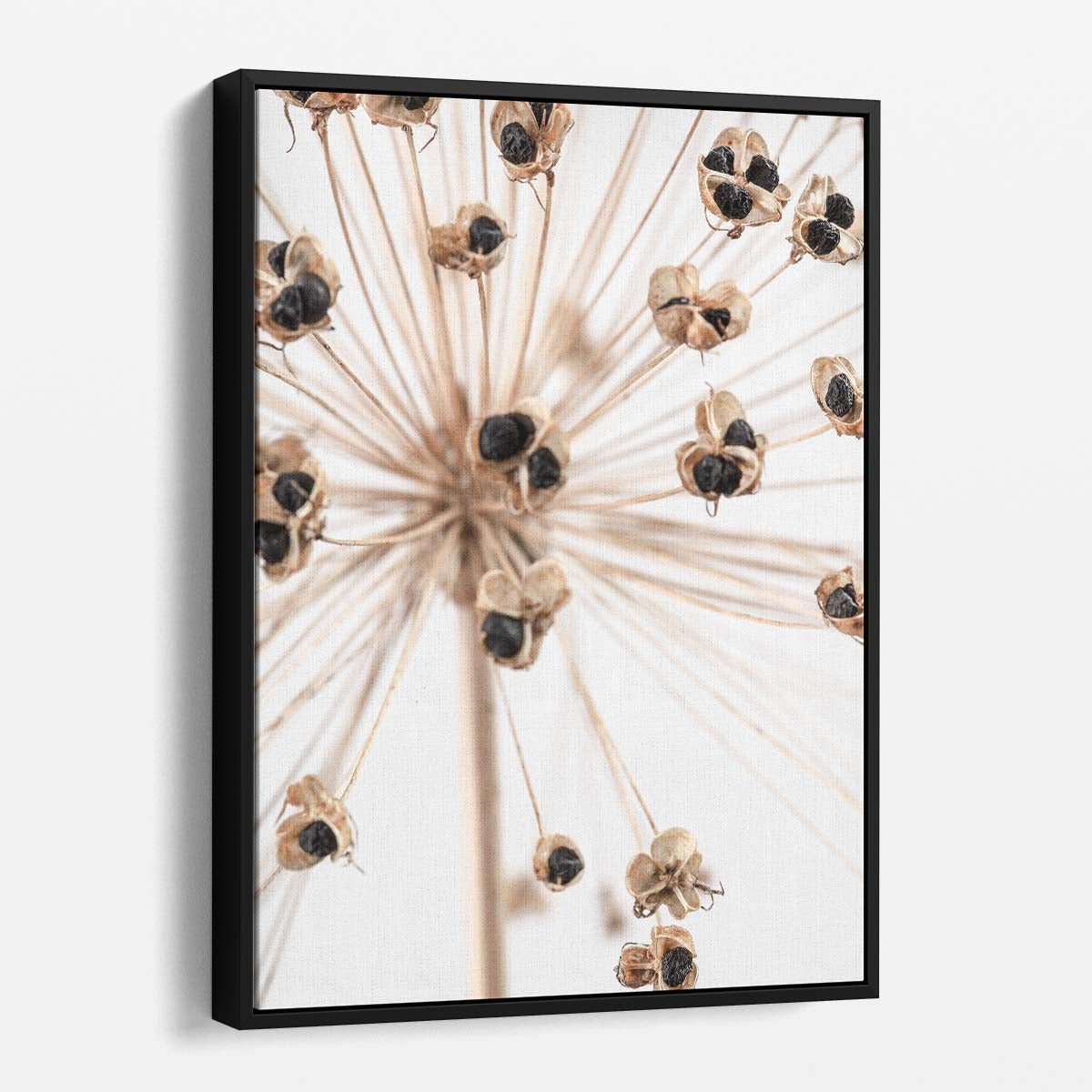 Dried Floral Botanical Photography Beige Flower Still Life Art by Luxuriance Designs, made in USA