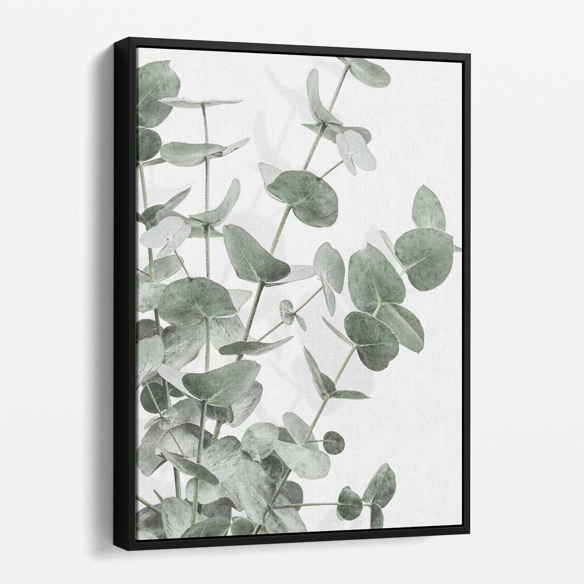 Botanical Eucalyptus Leaves Still Life Photography Wall Art by Luxuriance Designs, made in USA