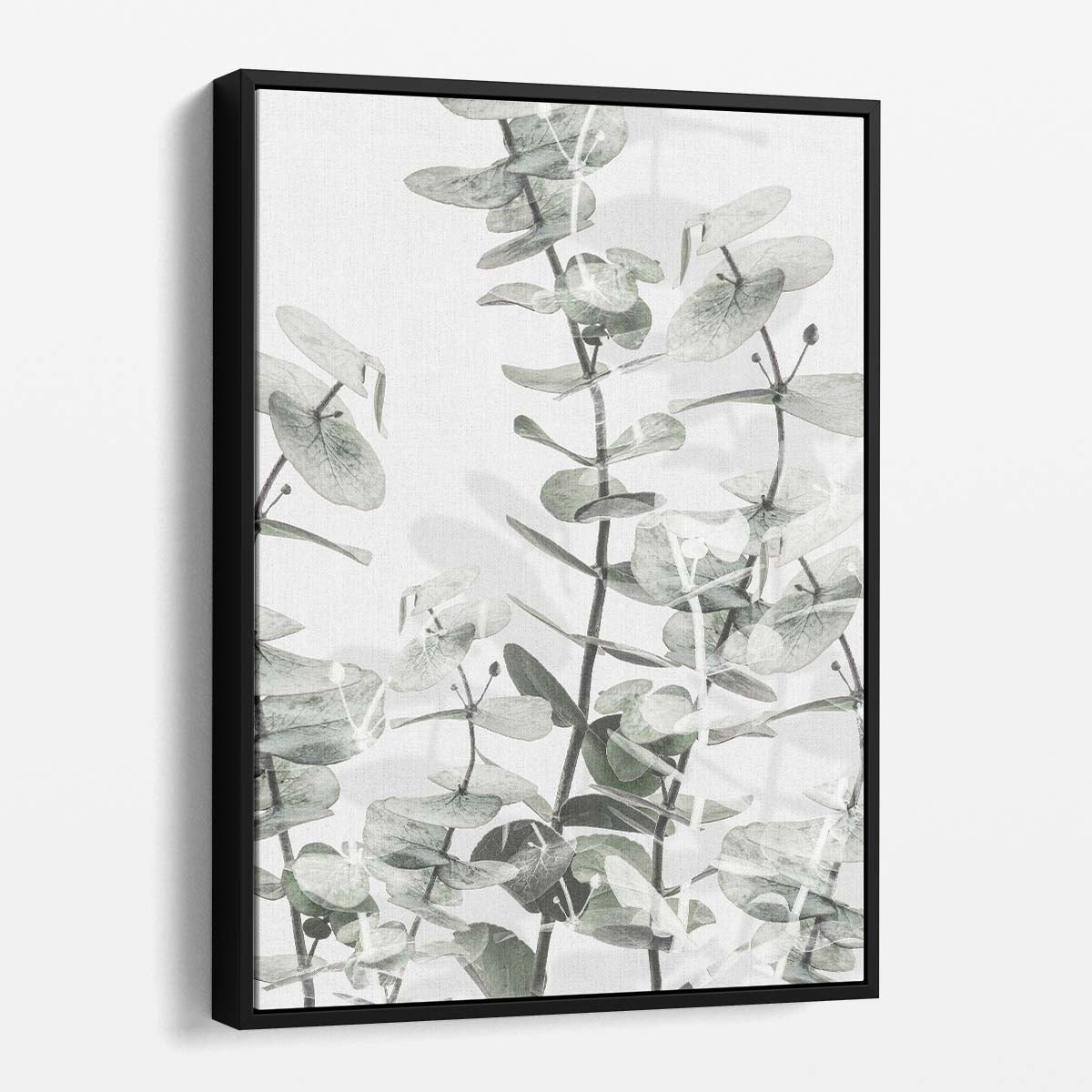 Botanical Abstract Photography - Eucalyptus Plant Leaves Art by Luxuriance Designs, made in USA