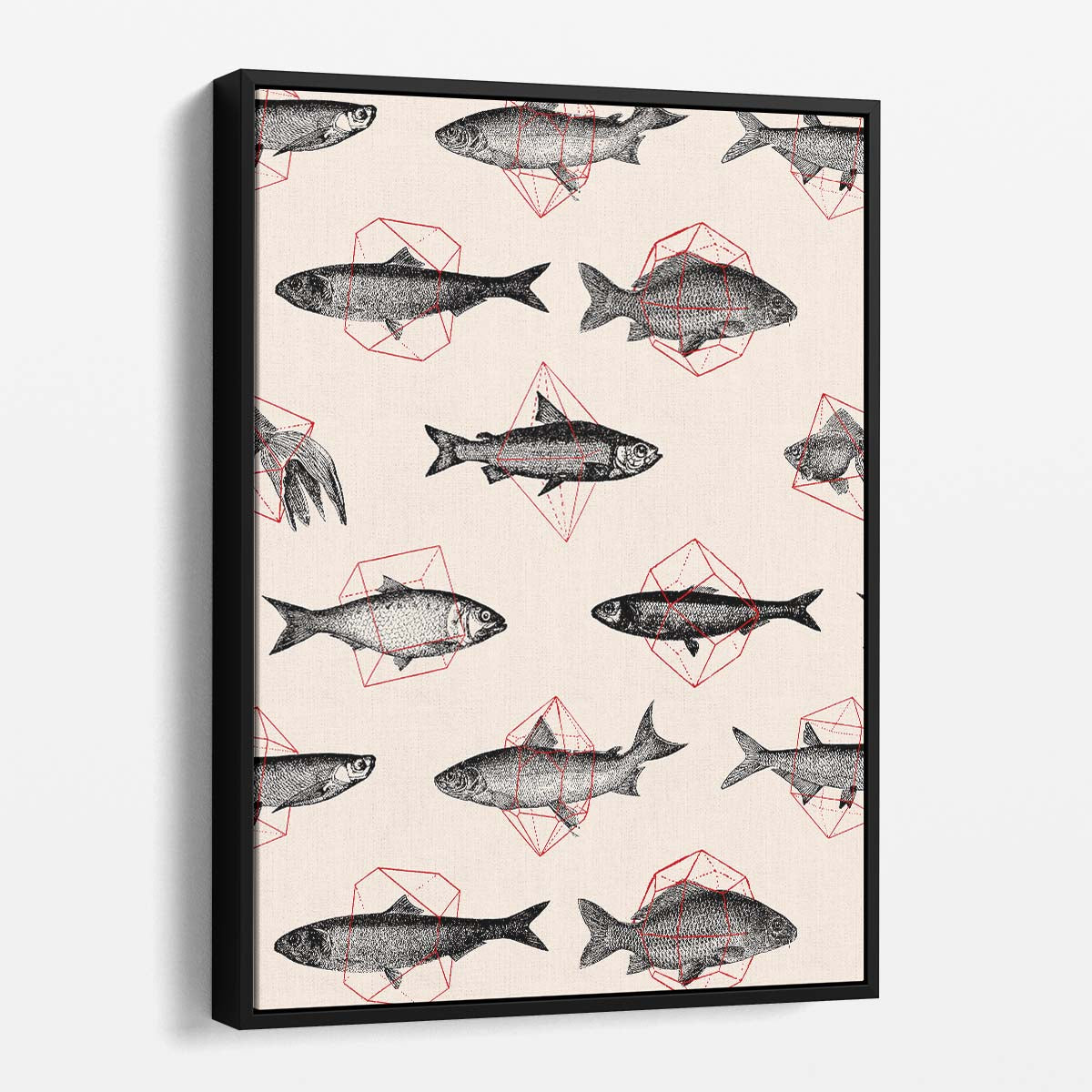 Geometric Fish Illustration, Abstract Animal Wall Art on White Background by Luxuriance Designs, made in USA