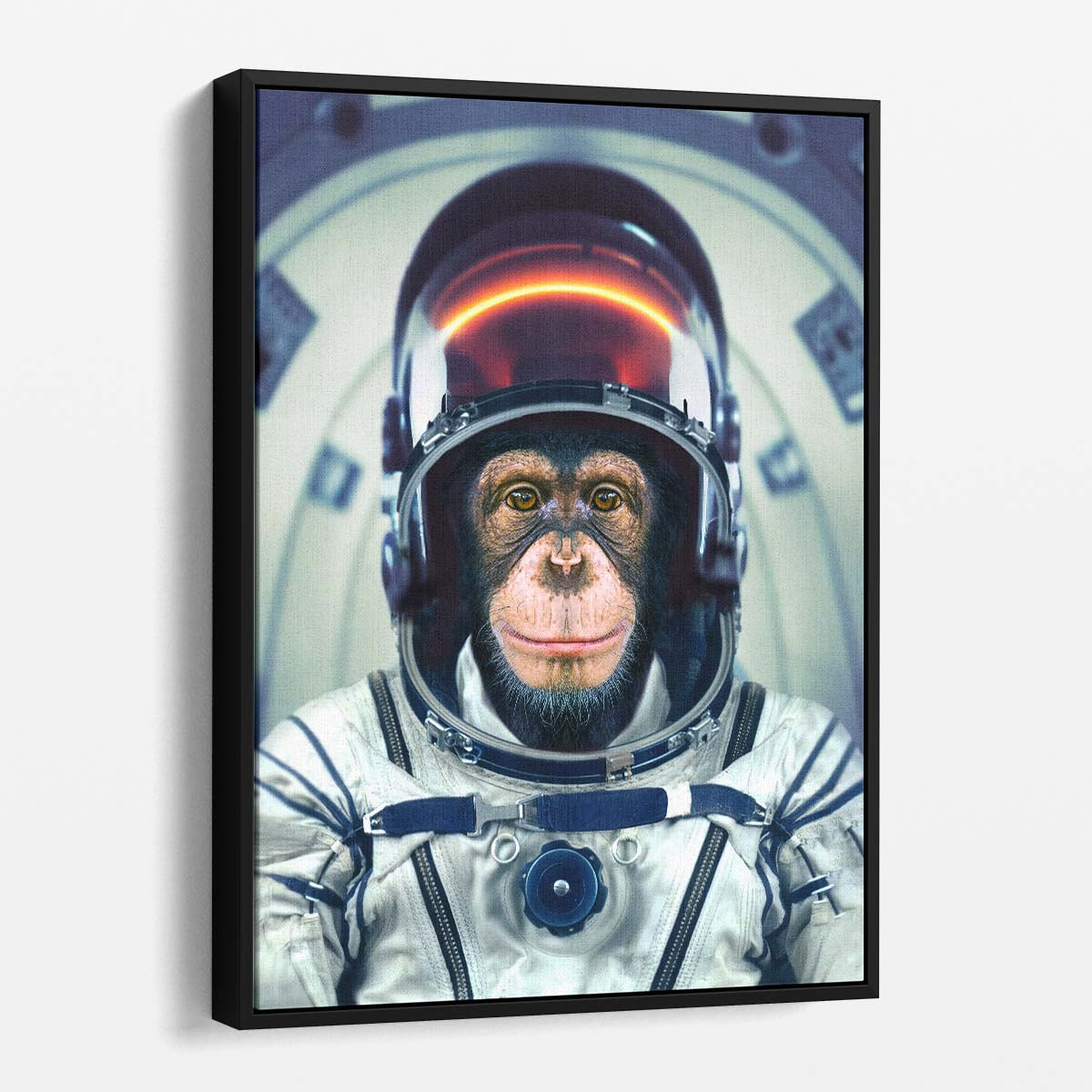 Fantasy Monkey Astronaut Photography by Marcel Egger - Creative Space Art by Luxuriance Designs, made in USA