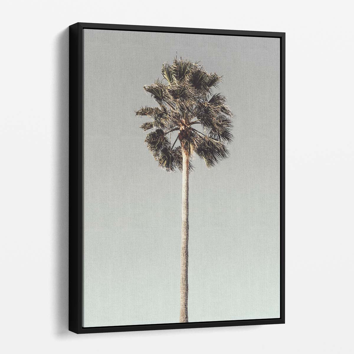 Minimalist Tropical Palm Tree Landscape Photography, Exotic Gray Sky by Luxuriance Designs, made in USA