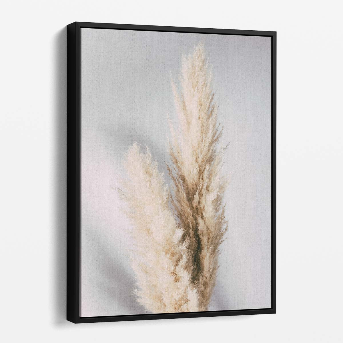 Soft Dried Pampas Grass Botanical Photography Wall Art - 1XStudio by Luxuriance Designs, made in USA