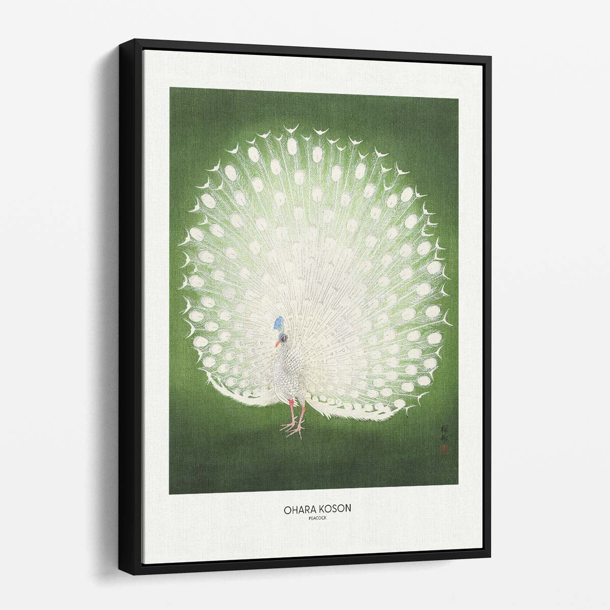 Ohara Koson's Vintage Peacock Illustration - Japandi Style Wall Art by Luxuriance Designs, made in USA