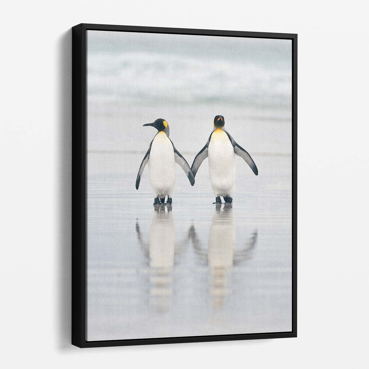 Romantic Penguin Couple Beach Photography, Wildlife Coastal Art by Luxuriance Designs, made in USA