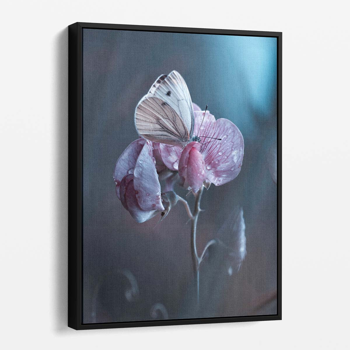 Macro Photography of Pink Flower, Butterfly with Dew Drops by Luxuriance Designs, made in USA