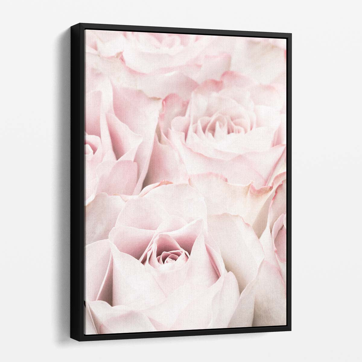 Pastel Pink Roses Macro Photography - Detailed Botanical Still Life Art by Luxuriance Designs, made in USA