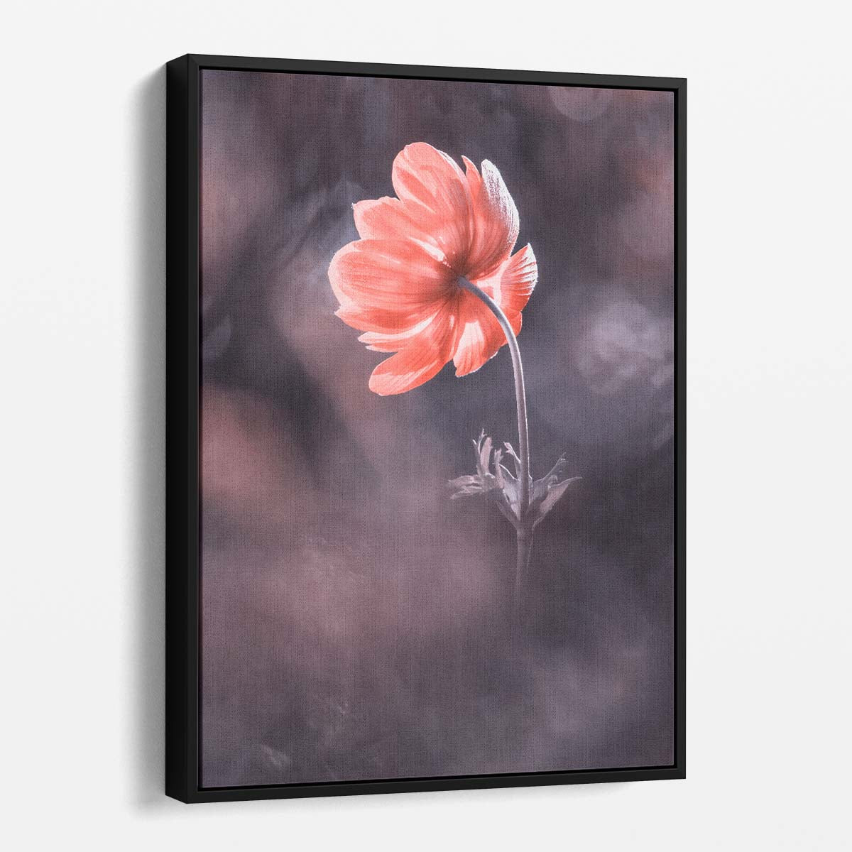 Macro Photography Blossoming Red Anemone Floral Bokeh Wall Art by Luxuriance Designs, made in USA