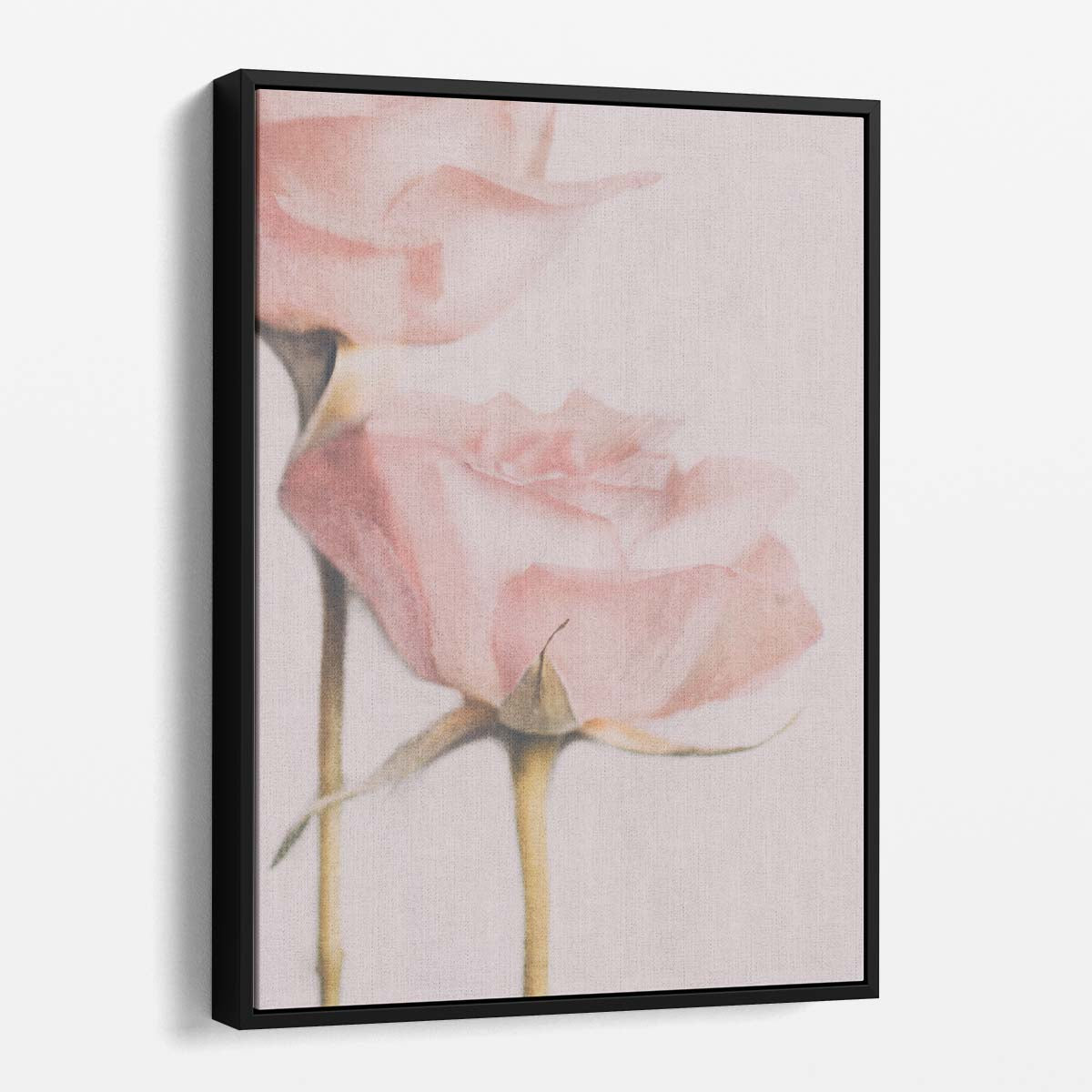Romantic Pastel Pink Rose Duo- Valentine's Botanical Photography Art by Luxuriance Designs, made in USA