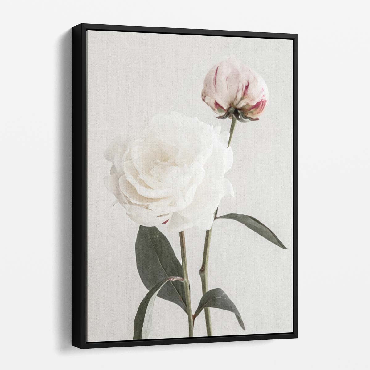 Botanical Pink Peony Blossom Photography - Still Life Floral Art by Luxuriance Designs, made in USA