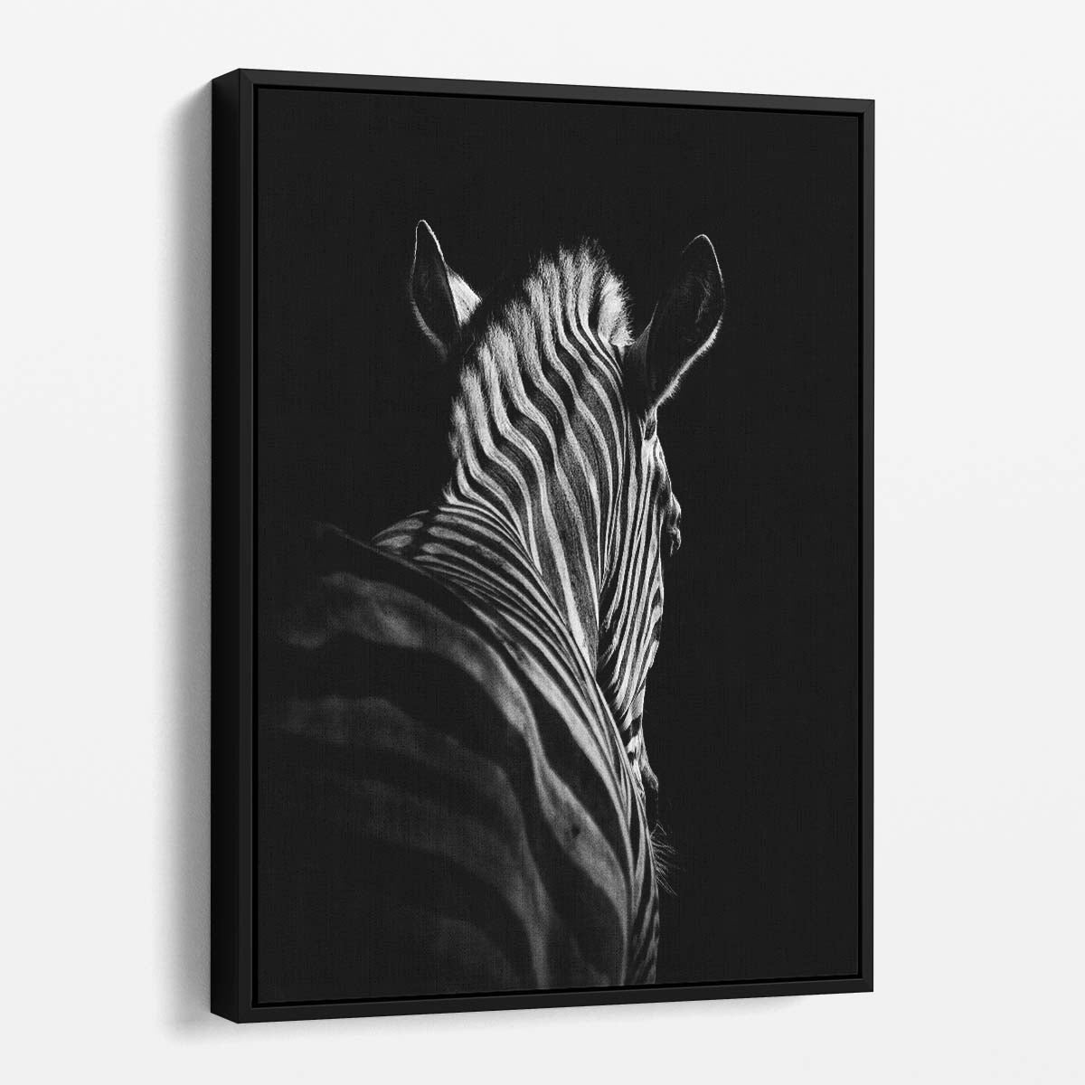 Minimalistic Monochrome Zebra Photography Wall Art, Duisburg Zoo Germany by Luxuriance Designs, made in USA