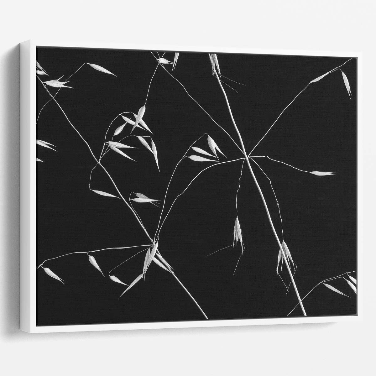 Monochrome Wheat Pattern Abstract Lines Wall Art by Luxuriance Designs. Made in USA.