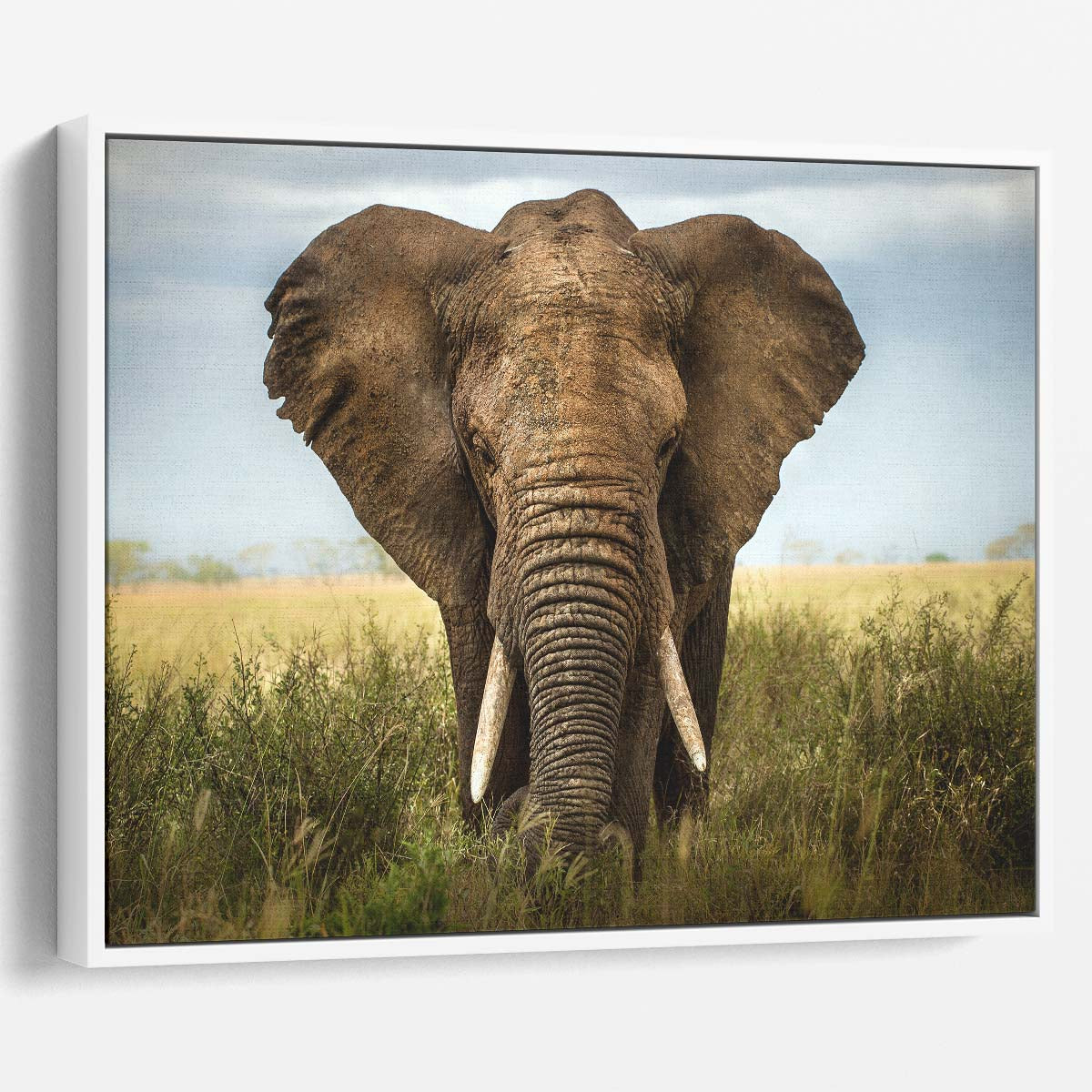 Serengeti Elephant Wisdom Majestic Wildlife Wall Art by Luxuriance Designs. Made in USA.