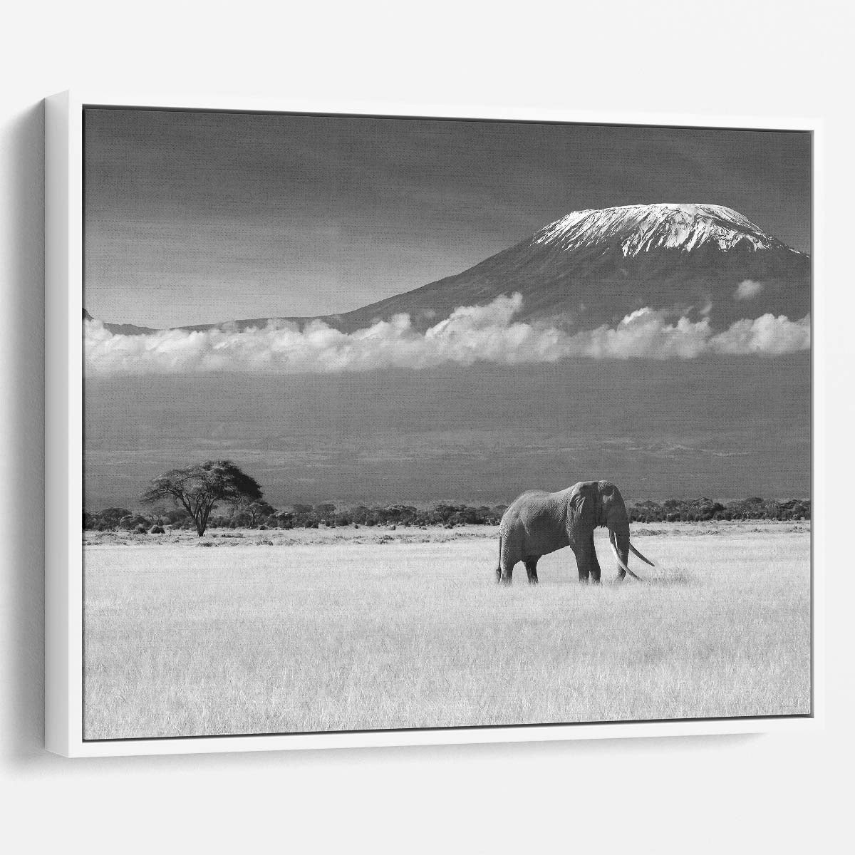 Majestic African Elephant & Kilimanjaro Wall Art by Luxuriance Designs. Made in USA.