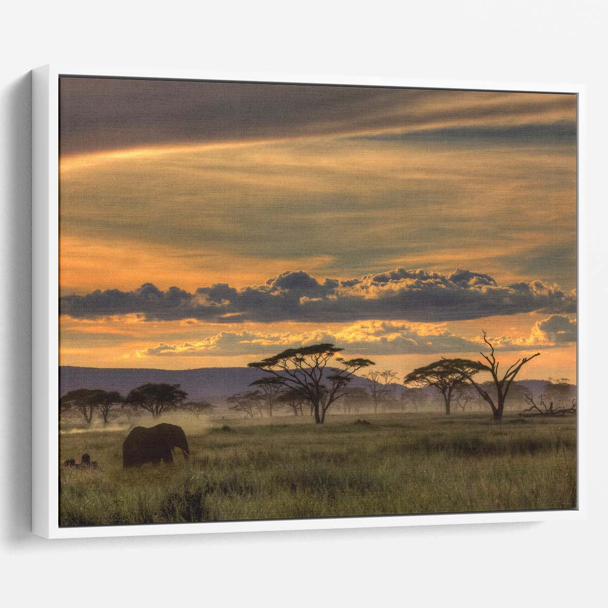 Serengeti Sunset Elephant Safari Wildlife Photography Wall Art