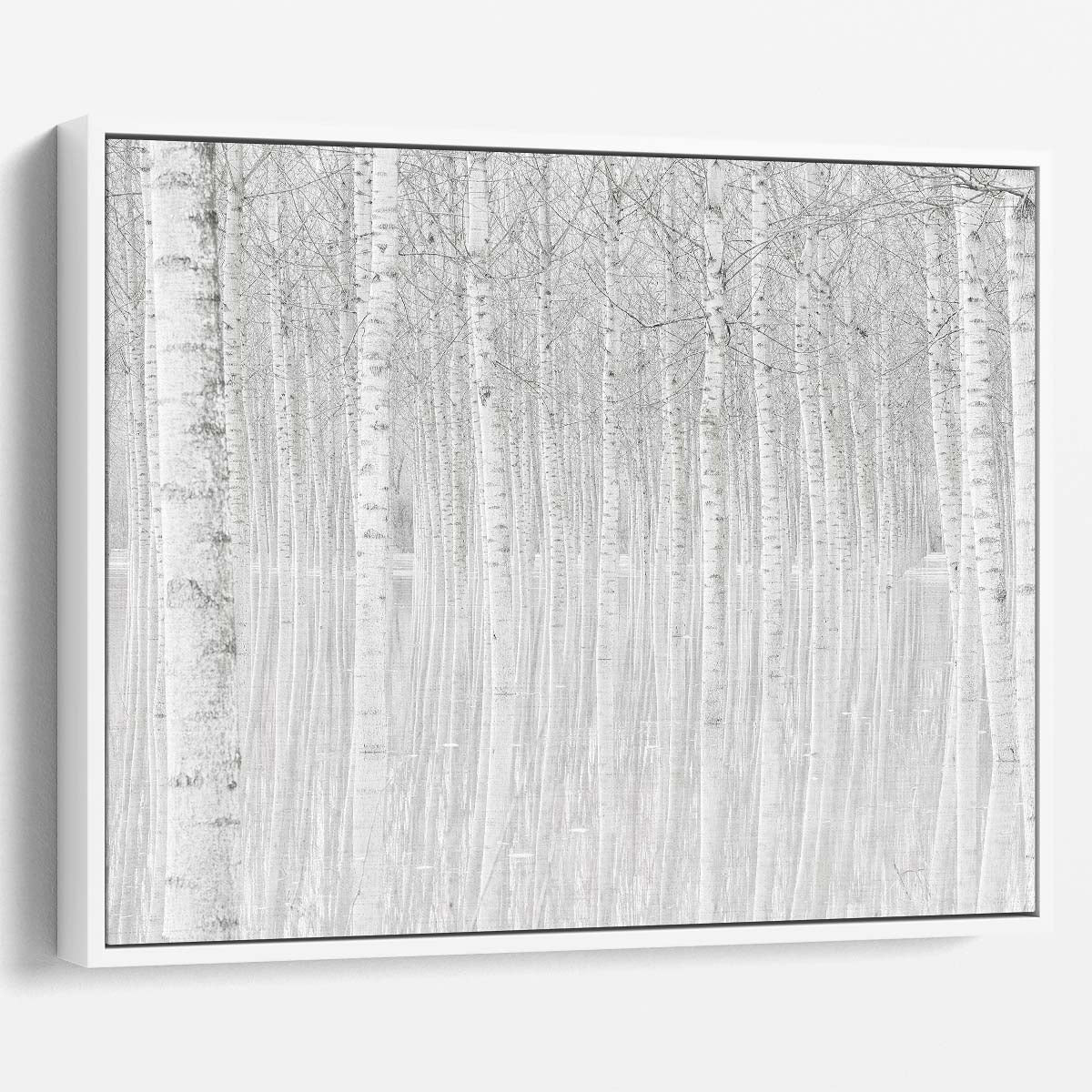 Snowy Birch Forest Winter Wonderland Wall Art by Luxuriance Designs. Made in USA.