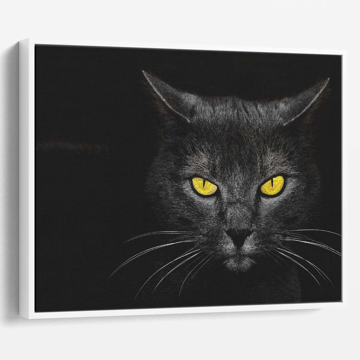Black Cat with Yellow Eyes Dark Whiskers Wall Art by Luxuriance Designs. Made in USA.