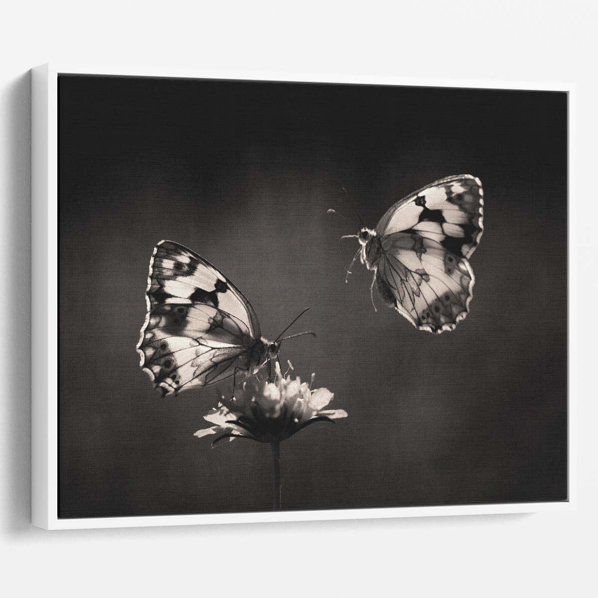 Romantic Butterfly Pair in Sepia Floral Macro Wall Art by Luxuriance Designs. Made in USA.