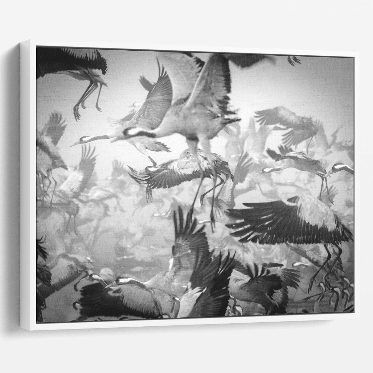 Misty Crane Migration Over Chula Lake Wall Art by Luxuriance Designs. Made in USA.