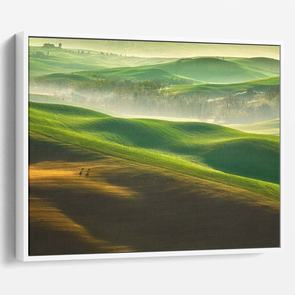 Tuscan Sunrise Misty Fields & Cypress Trees Wall Art by Luxuriance Designs. Made in USA.