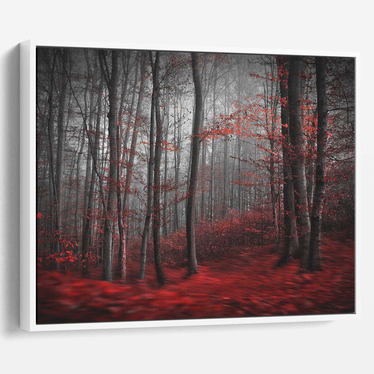 Surreal Autumn Forest & River Landscape Photography Wall Art