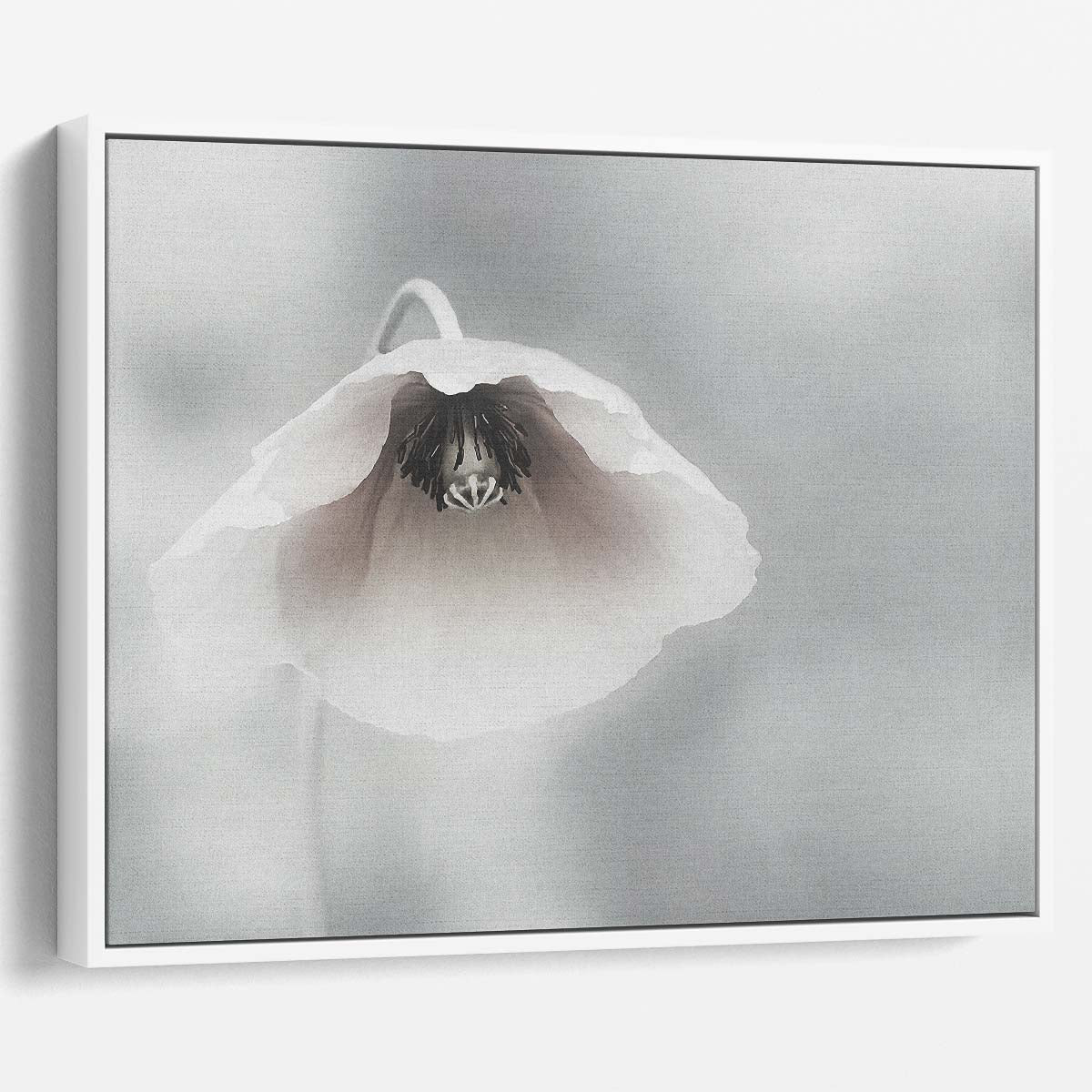 Delicate White Poppy Floral Macro Garden Wall Art by Luxuriance Designs. Made in USA.