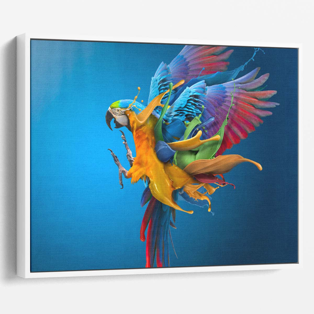 Surreal Colorful Parrot in Flight Dramatic Photographic Art Wall Art