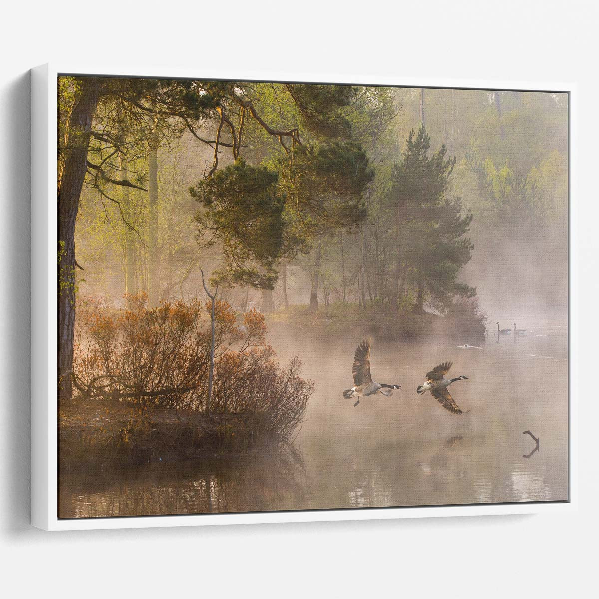 Misty Autumn Flight Geese Over Dutch Lake Wall Art by Luxuriance Designs. Made in USA.