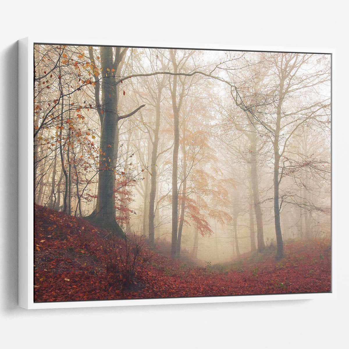 Autumnal Mist & Red Woods Forest Landscape Wall Art by Luxuriance Designs. Made in USA.