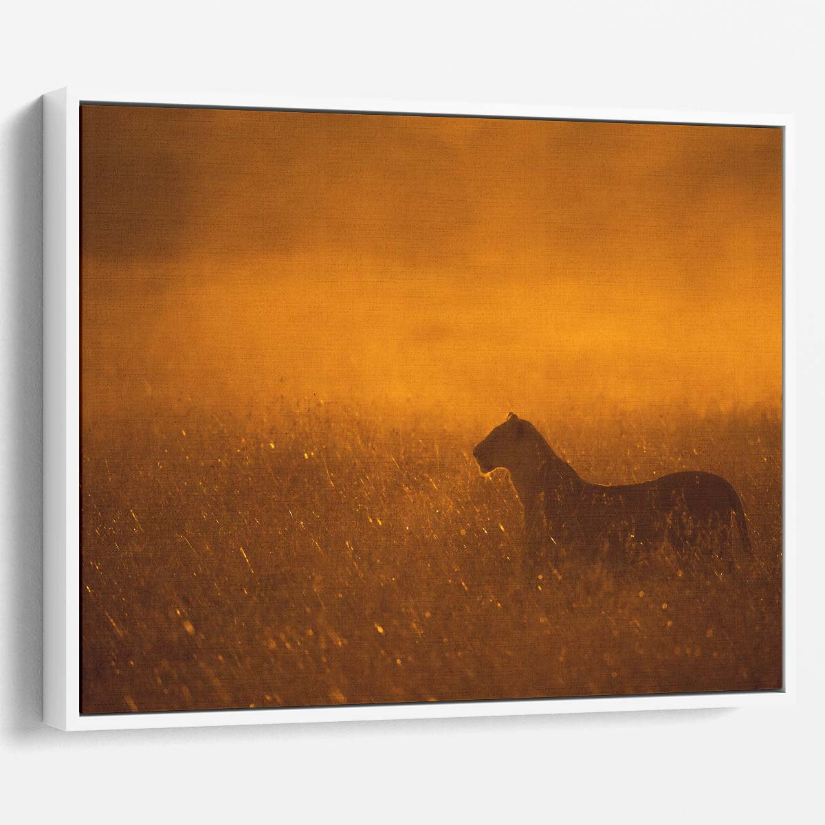 Golden Mist Lioness Solitary Safari Predator Wall Art by Luxuriance Designs. Made in USA.