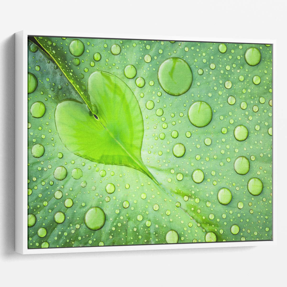 Romantic Green Leaf Heart & Water Droplets Wall Art by Luxuriance Designs. Made in USA.