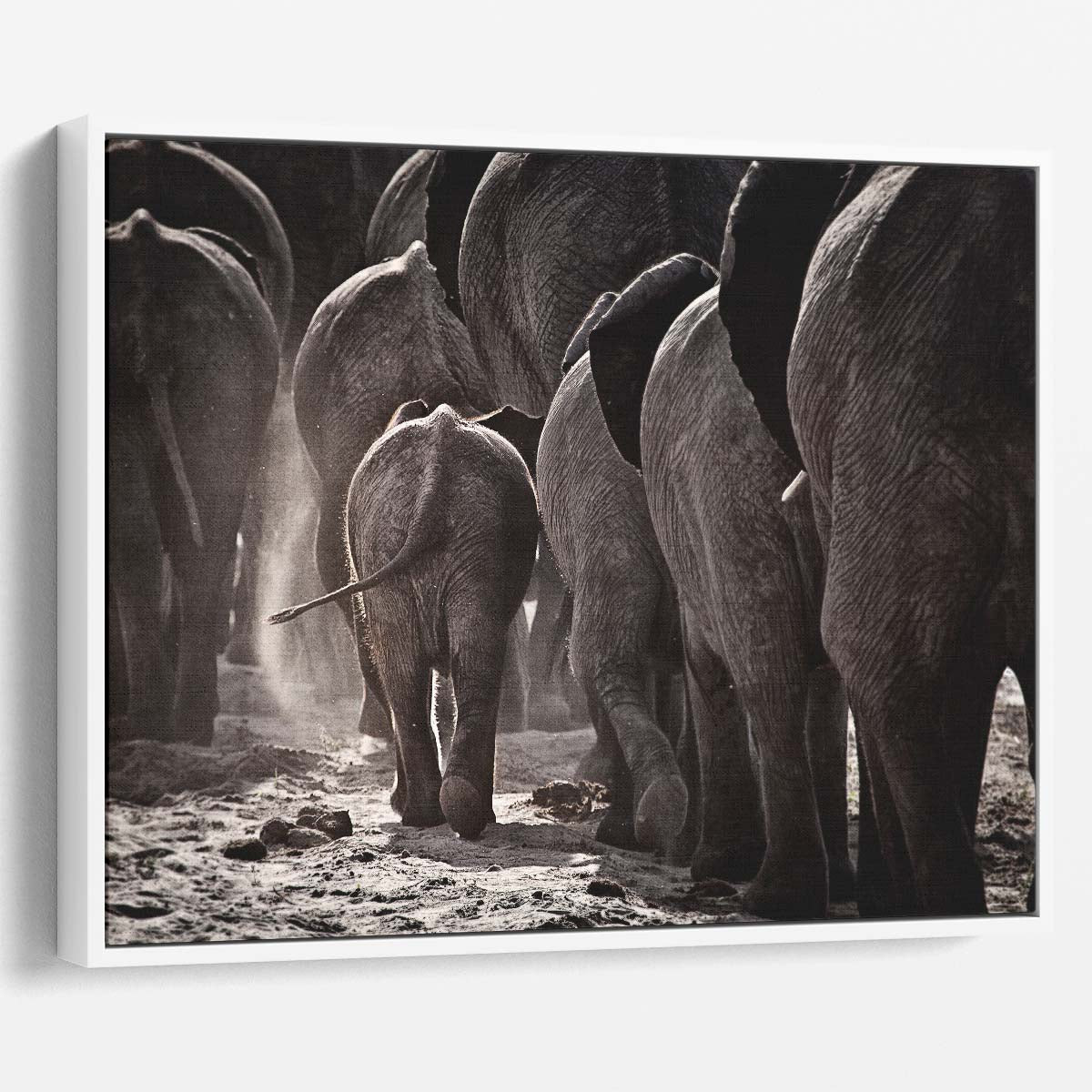 Chobe National Park Elephant Herd Wall Art by Luxuriance Designs. Made in USA.