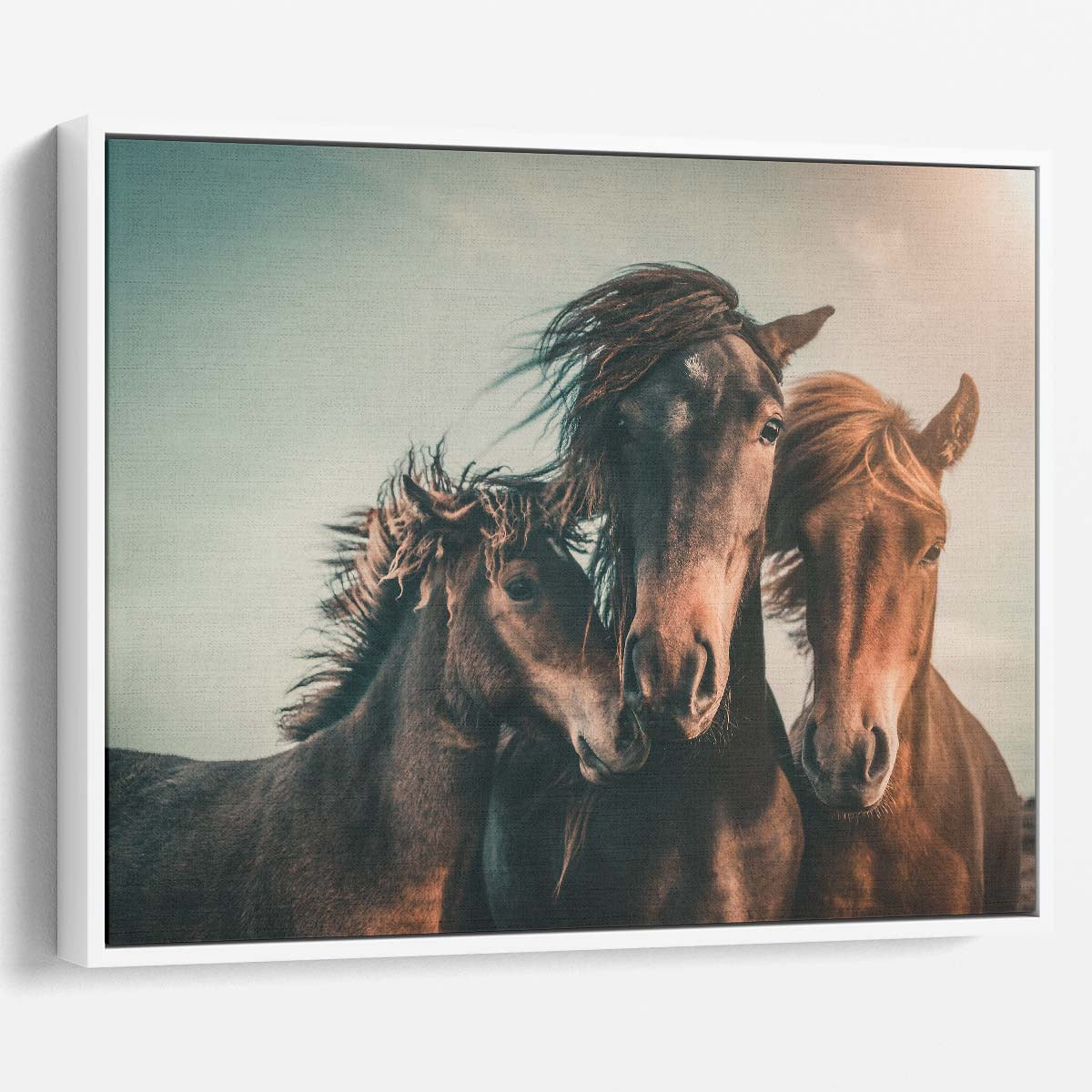 Icelandic Horse Family Sunset Seascape Wall Art by Luxuriance Designs. Made in USA.