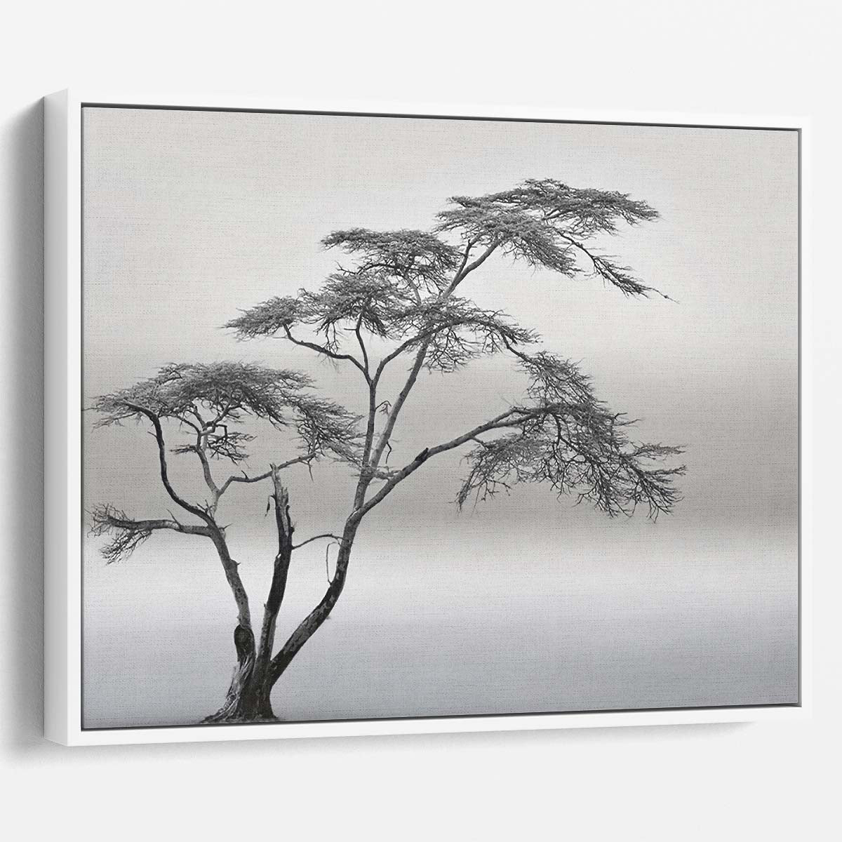 Misty Savannah Lonely Tree Monochrome Landscape Wall Art by Luxuriance Designs. Made in USA.