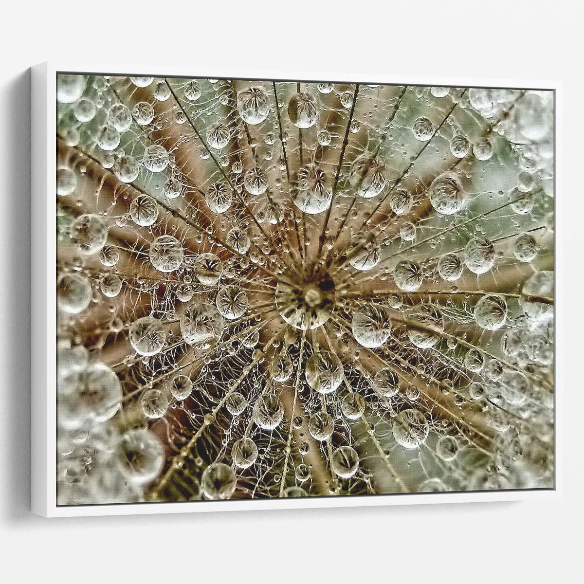 Autumn Dew & Pearl Droplets Floral Macro Wall Art by Luxuriance Designs. Made in USA.