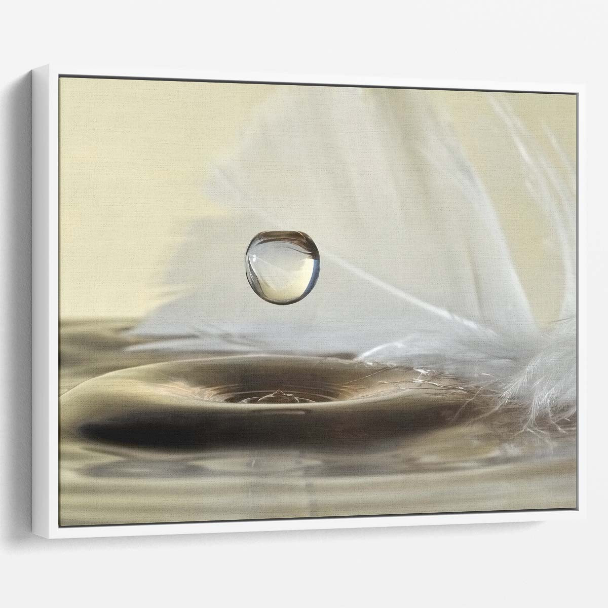 Delicate Feather & Water Droplet Macro Wall Art by Luxuriance Designs. Made in USA.