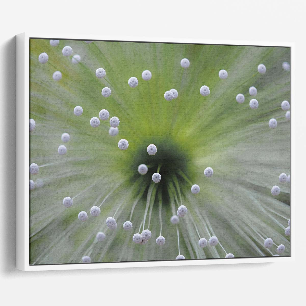 Delicate Macro Floral Bokeh Brazil Wall Art by Luxuriance Designs. Made in USA.
