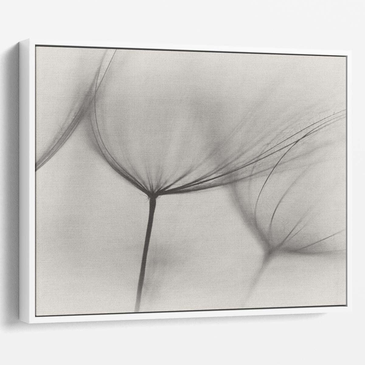 Serene Minimalist Dandelion Macro Wall Art by Luxuriance Designs. Made in USA.