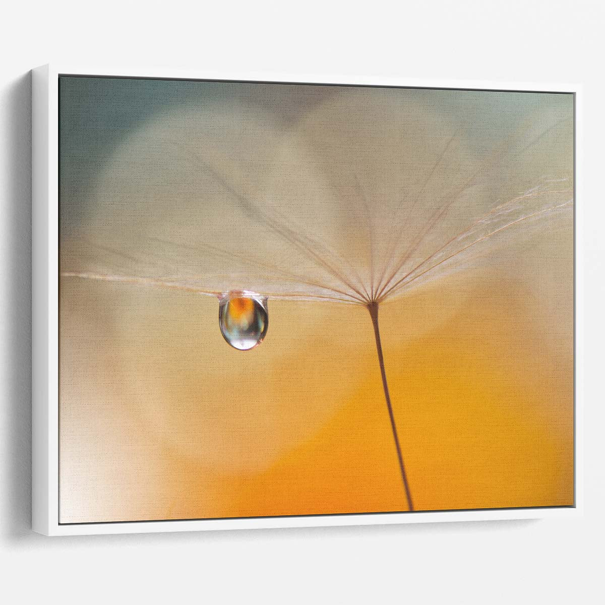 Abstract Macro Dandelion & Feather Drops Wall Art by Luxuriance Designs. Made in USA.