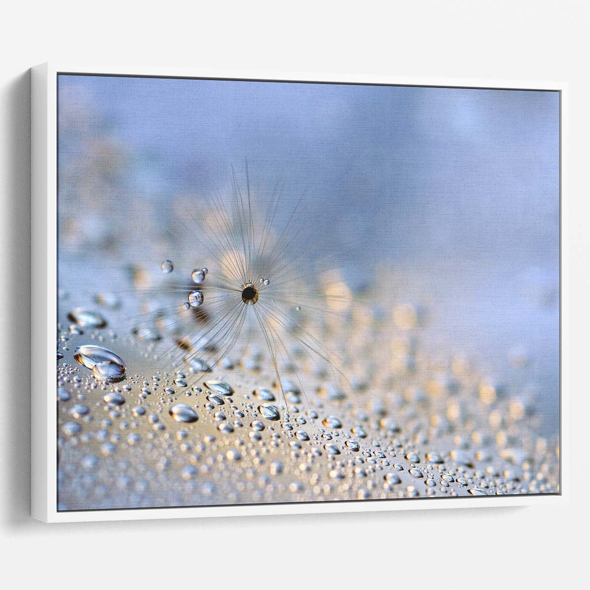 Delicate Feather & Seed Macro Droplets Wall Art by Luxuriance Designs. Made in USA.