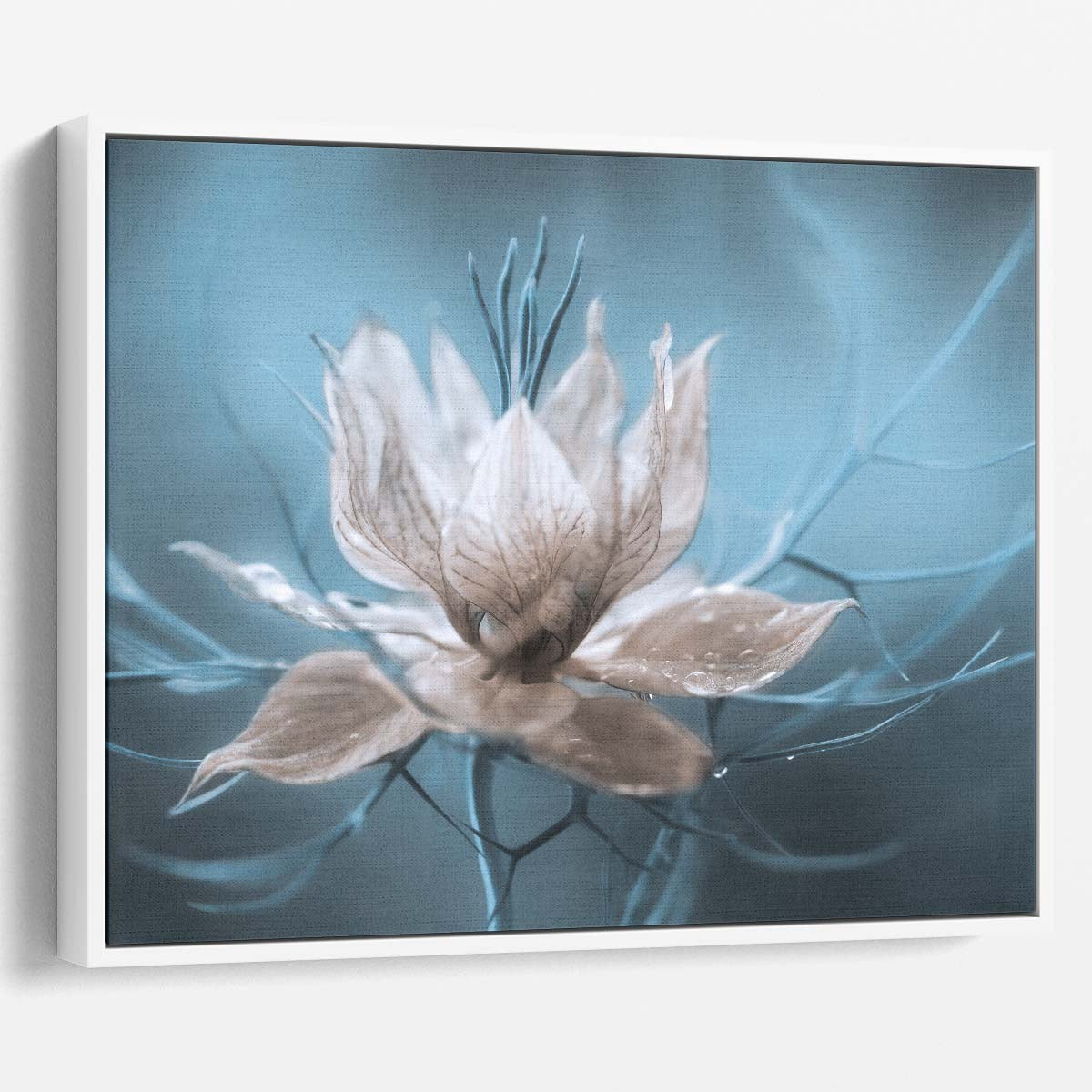 Delicate Blue & White Nigella Floral Macro Wall Art by Luxuriance Designs. Made in USA.