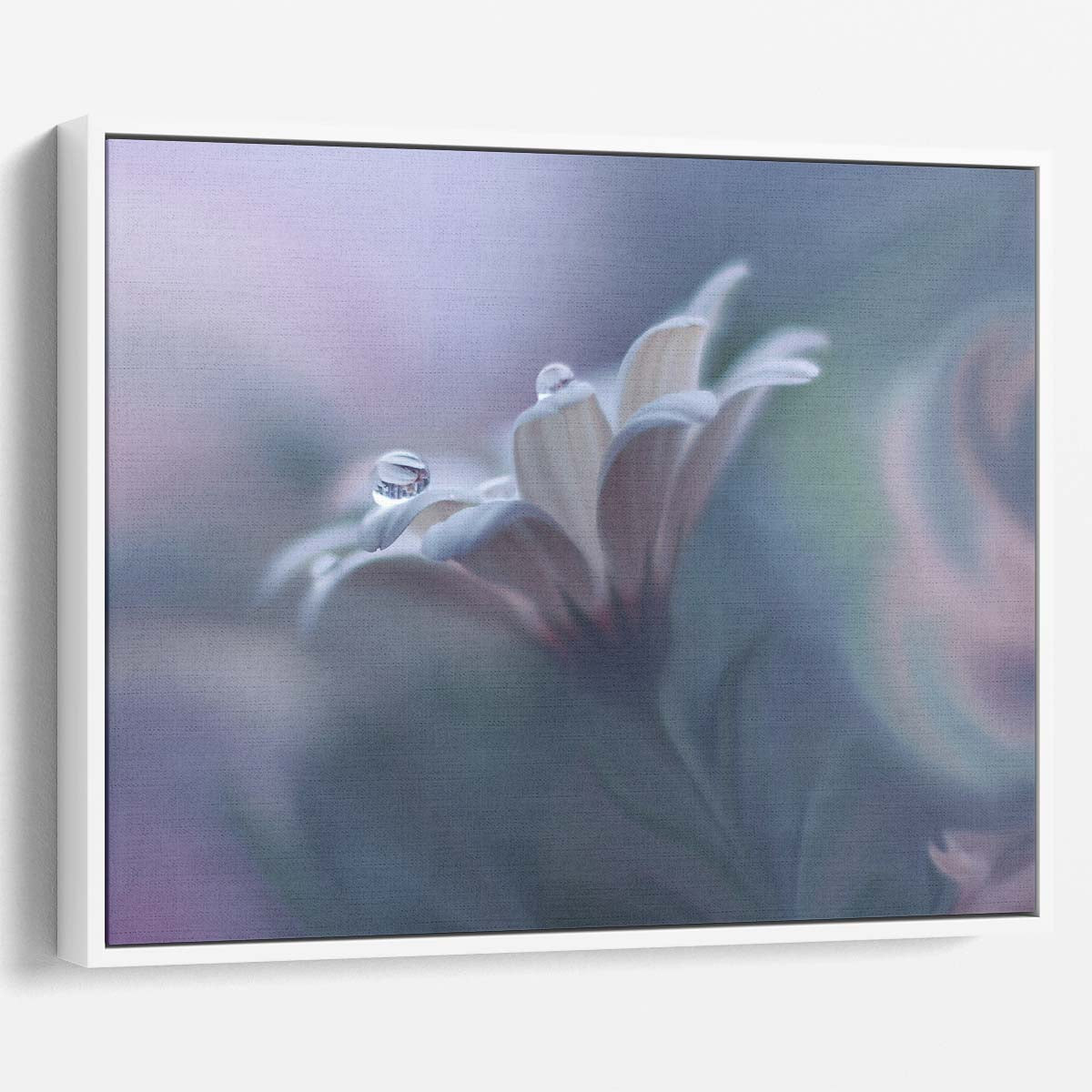 Delicate Floral Dewdrops Macro Pastel Wall Art by Luxuriance Designs. Made in USA.