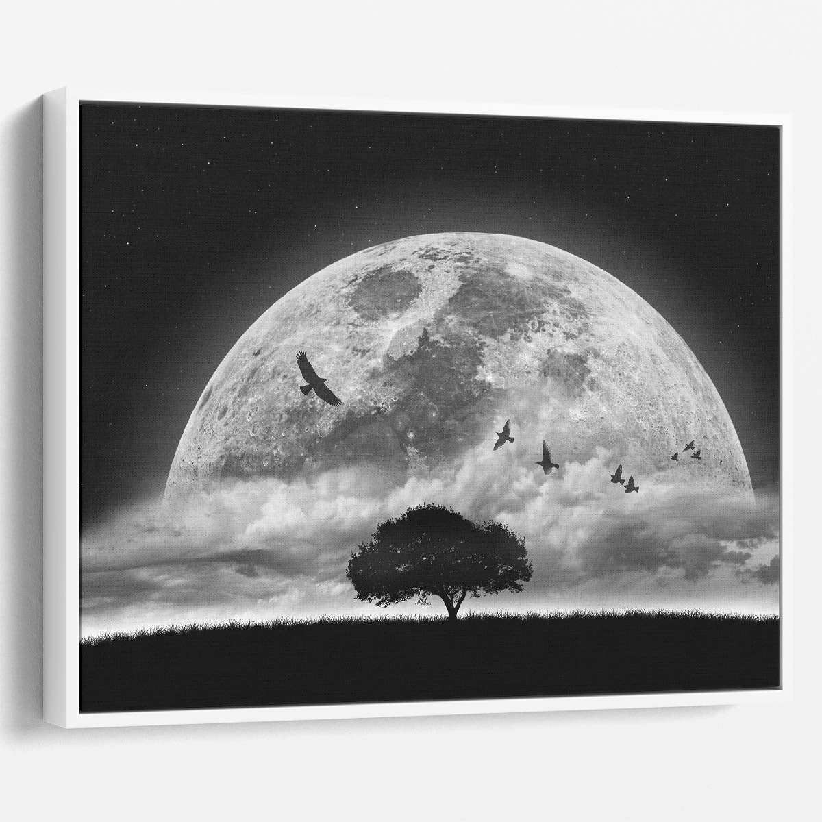 Surreal Moonlit Sky & Birds Montage Wall Art by Luxuriance Designs. Made in USA.