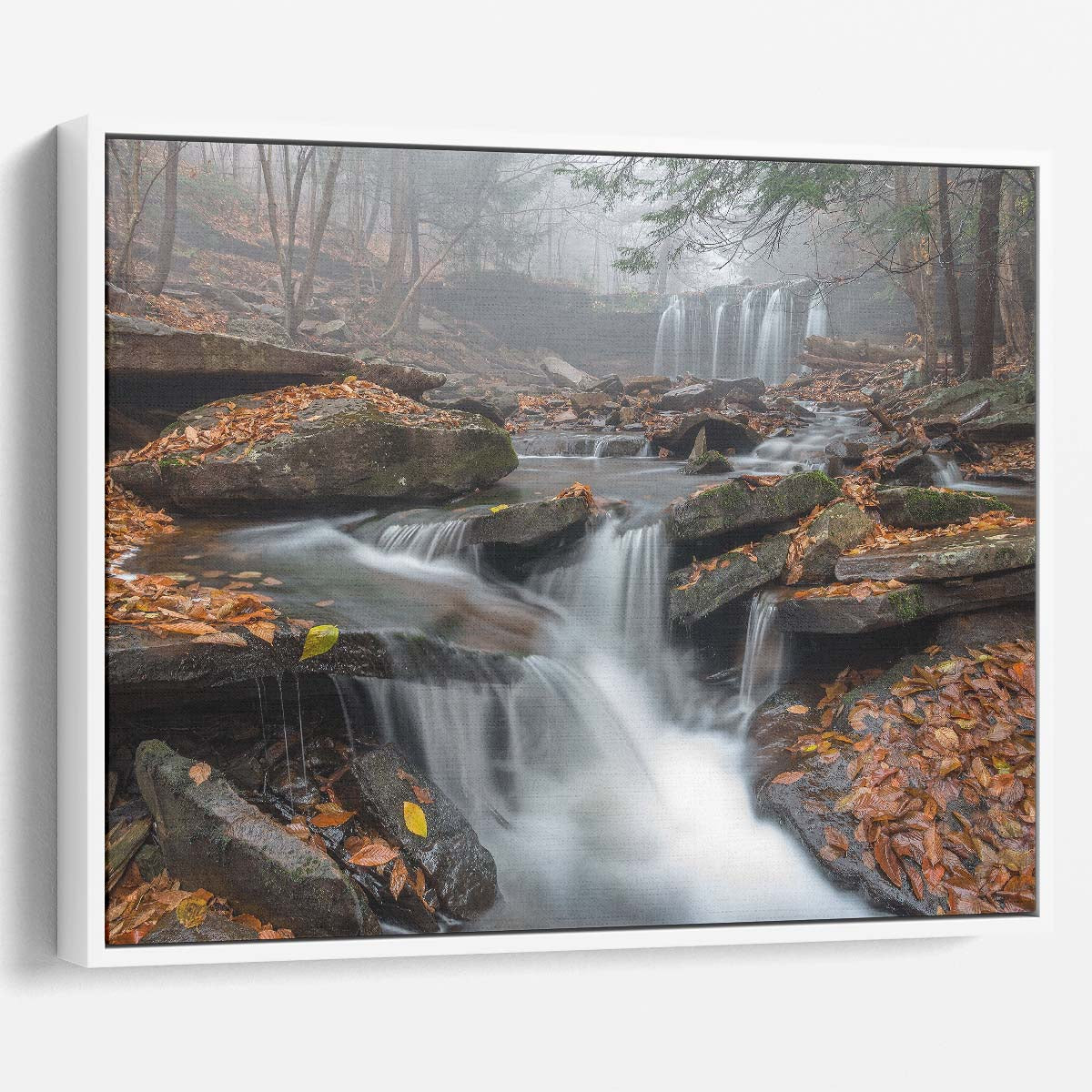 Autumn Morning Mist Waterfall in Ricketts Glen Wall Art by Luxuriance Designs. Made in USA.