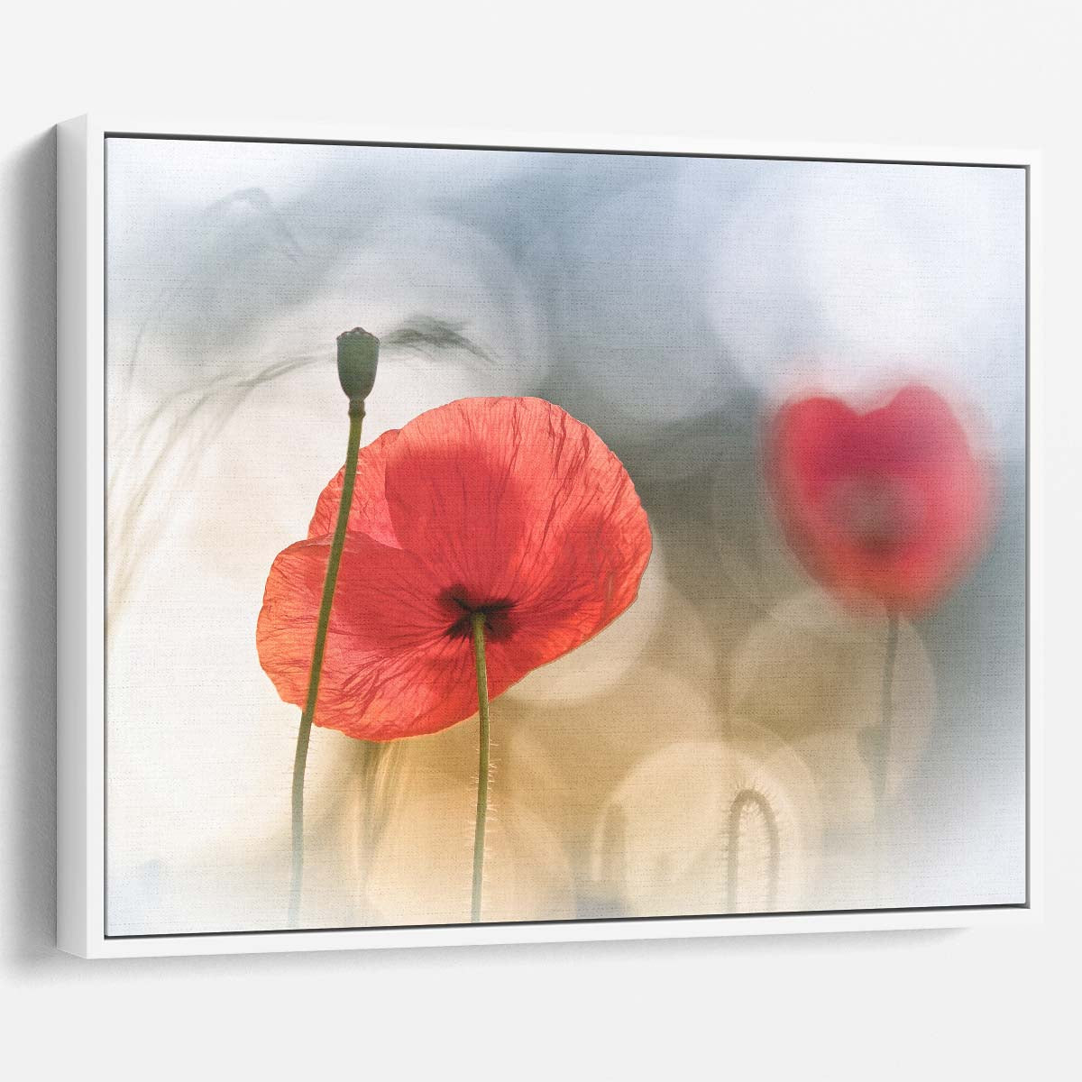 Romantic Red Poppy Meadow Sunrise Macro Photography Wall Art