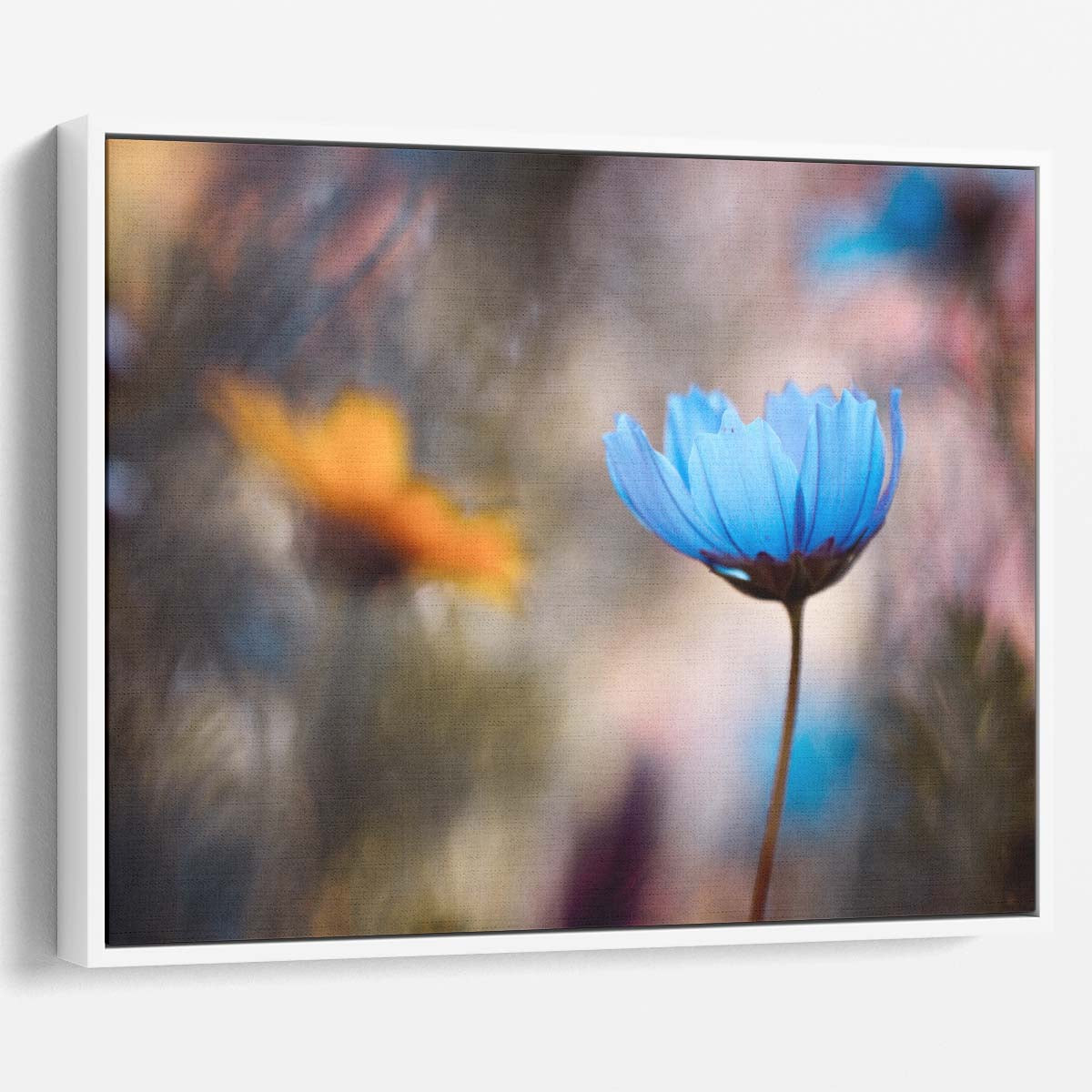 Blue Floral Duo Macro Garden Bokeh Wall Art by Luxuriance Designs. Made in USA.